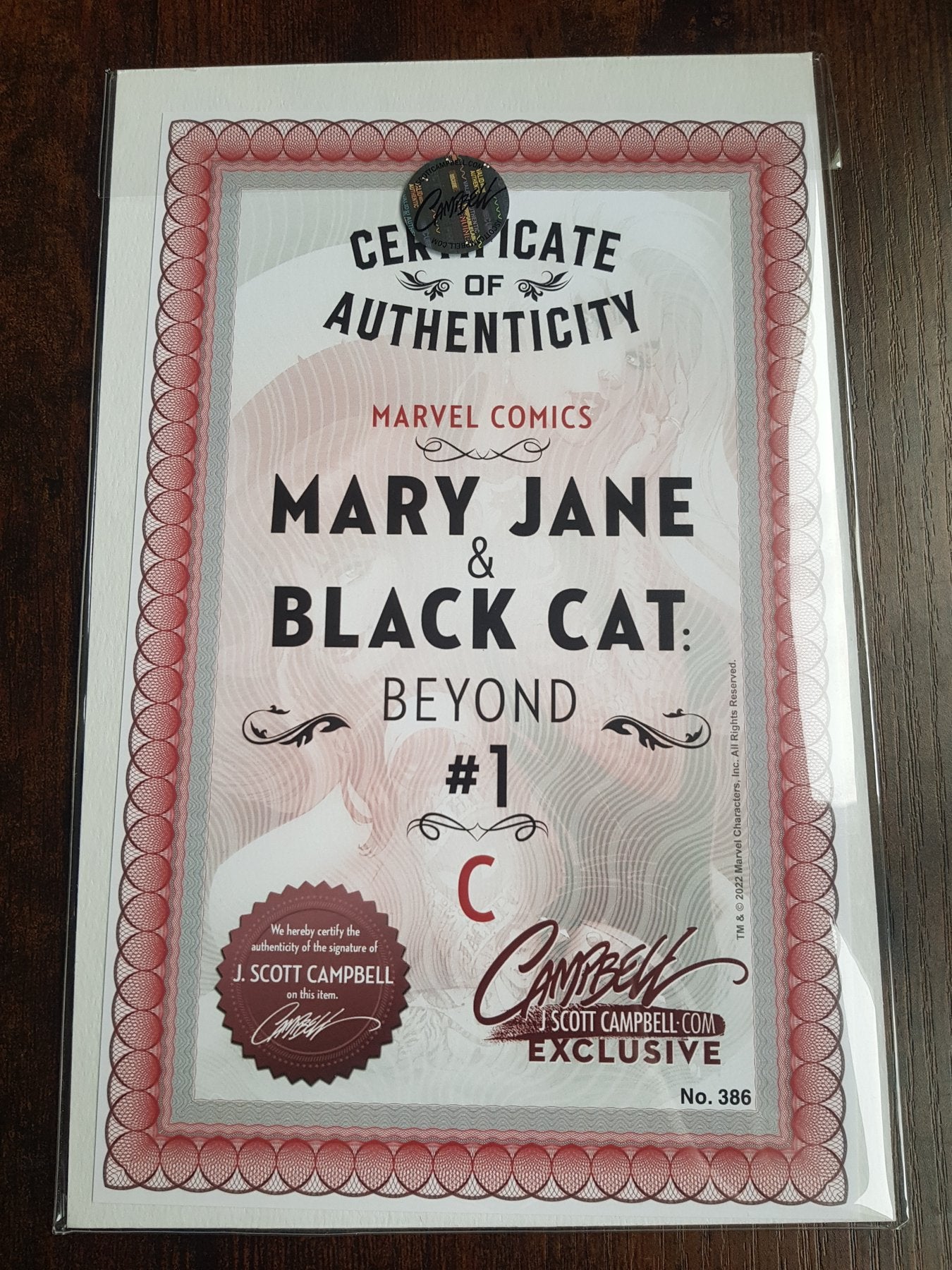 Mary Jane and Black Cat: Beyond #1 JSC Artist EXCLUSIVE